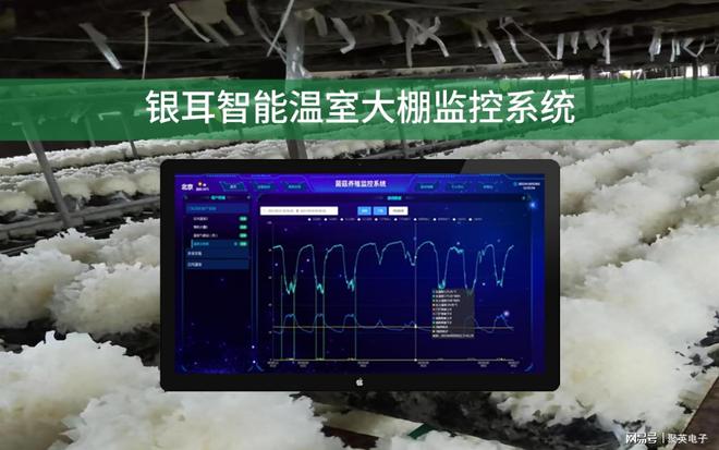 米博体育官网银耳智能温室大棚监控系统精准控制(图1)